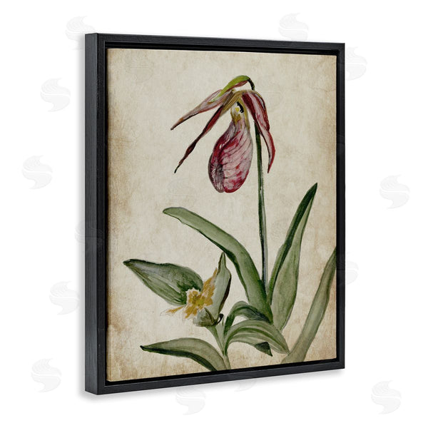 Stupell Industries Jacob Q | Vintage Muted Birds Of Paradise