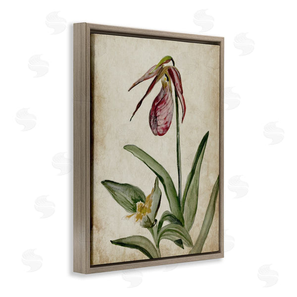 Stupell Industries Jacob Q | Vintage Muted Birds Of Paradise
