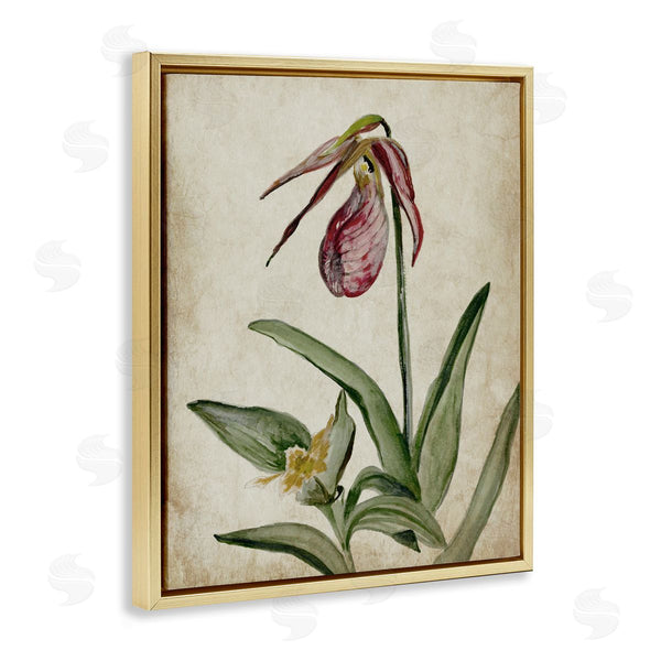 Stupell Industries Jacob Q | Vintage Muted Birds Of Paradise
