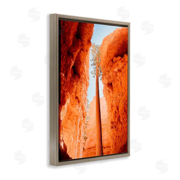 Stupell Industries Jade Sharp Photo | Bryce Canyon Looming Cliffs