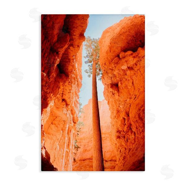 stupell industries Jade Sharp Photo | Bryce Canyon Looming Cliffs