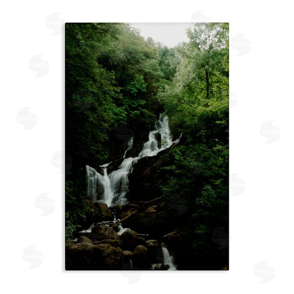 stupell industries Jade Sharp Photo | Cascading Waterfall in Forest