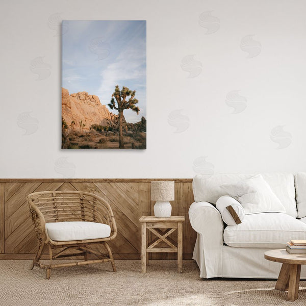 Stupell Industries Jade Sharp Photo | Joshua Tree & Canyon