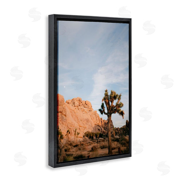 Stupell Industries Jade Sharp Photo | Joshua Tree & Canyon