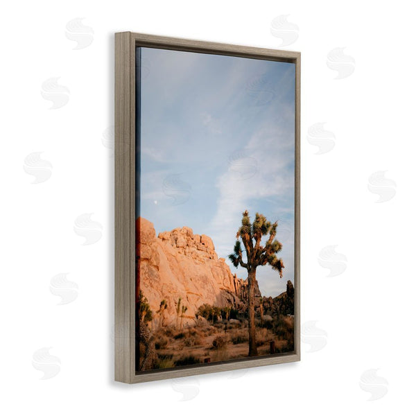 Stupell Industries Jade Sharp Photo | Joshua Tree & Canyon