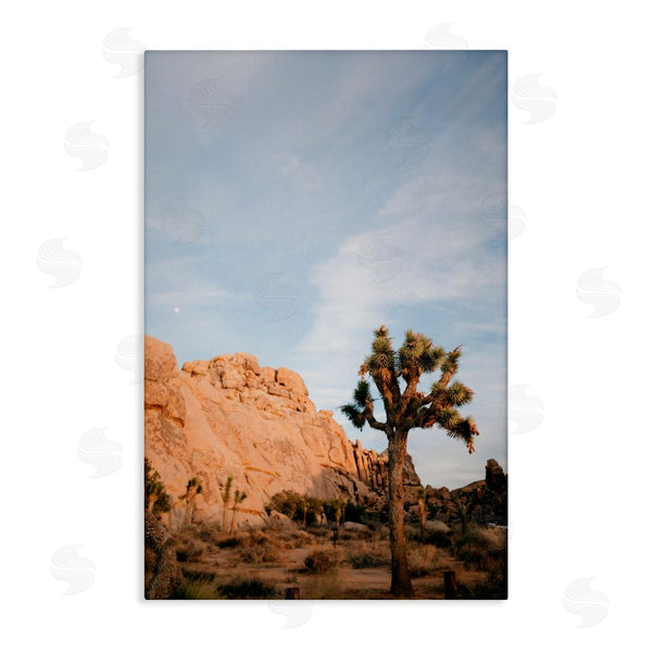 stupell industries Jade Sharp Photo | Joshua Tree & Canyon