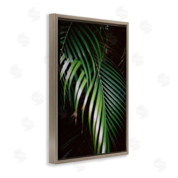 Stupell Industries Jade Sharp Photo | Palm Leaves Weaving Together