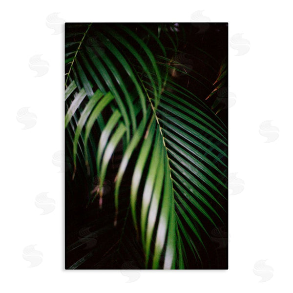 stupell industries Jade Sharp Photo | Palm Leaves Weaving Together
