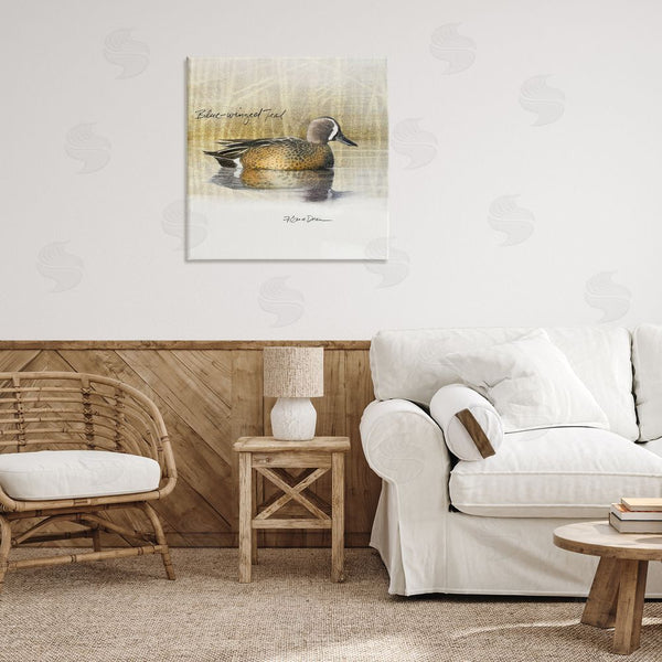 Stupell Industries Jadei Graphics | Blue Winged Teal Duck Wall Art