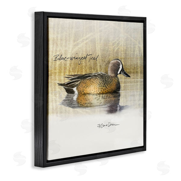 Stupell Industries Jadei Graphics | Blue Winged Teal Duck Wall Art