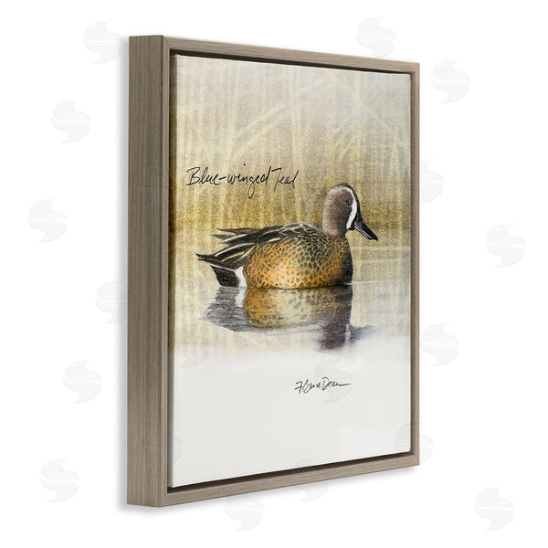 Stupell Industries Jadei Graphics | Blue Winged Teal Duck Wall Art