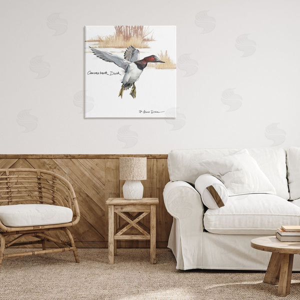 Stupell Industries Jadei Graphics | Canvasback Duck Flying Wall Art