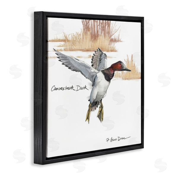 Stupell Industries Jadei Graphics | Canvasback Duck Flying Wall Art