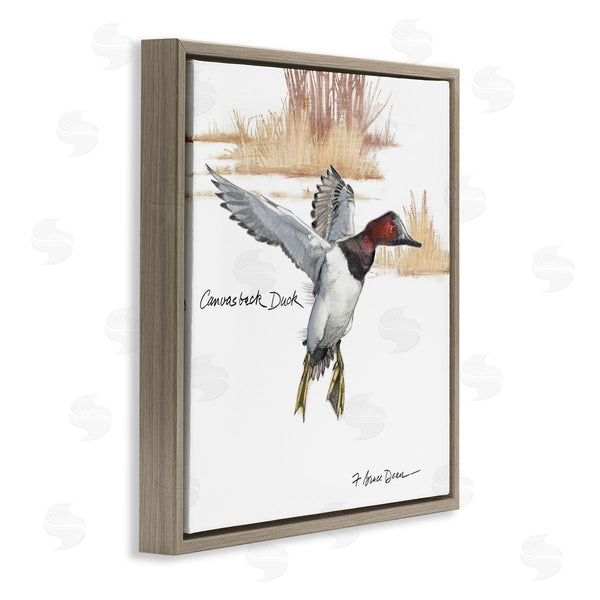 Stupell Industries Jadei Graphics | Canvasback Duck Flying Wall Art