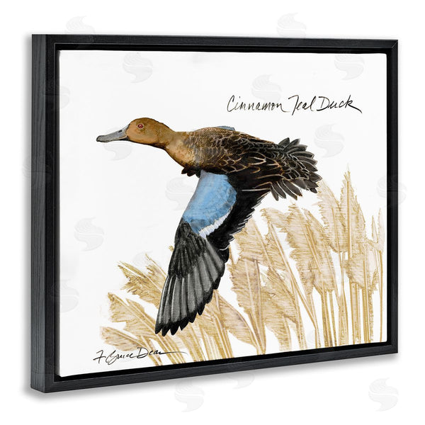 Stupell Industries Jadei Graphics | Cinnamon Teal Duck Flying