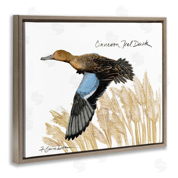 Stupell Industries Jadei Graphics | Cinnamon Teal Duck Flying