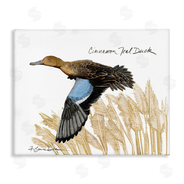 stupell industries Jadei Graphics | Cinnamon Teal Duck Flying