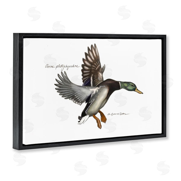 Stupell Industries Jadei Graphics | Flying Mallard Duck