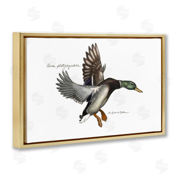 Stupell Industries Jadei Graphics | Flying Mallard Duck