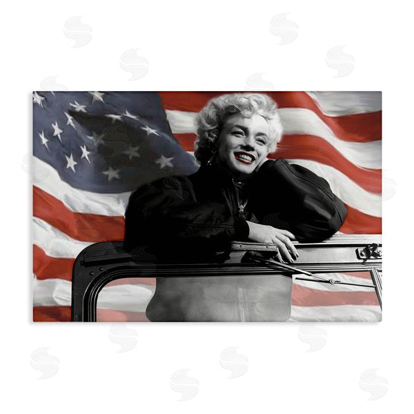 stupell industries Jadei Graphics | Marilyn & Waving Flag Wall Art