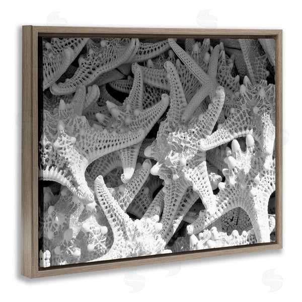 Stupell Industries Jairo Rodriguez | Nautical Starfish Pile