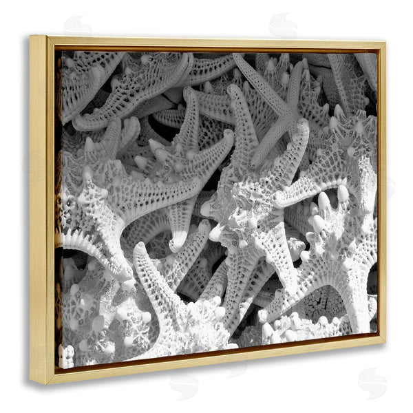 Stupell Industries Jairo Rodriguez | Nautical Starfish Pile