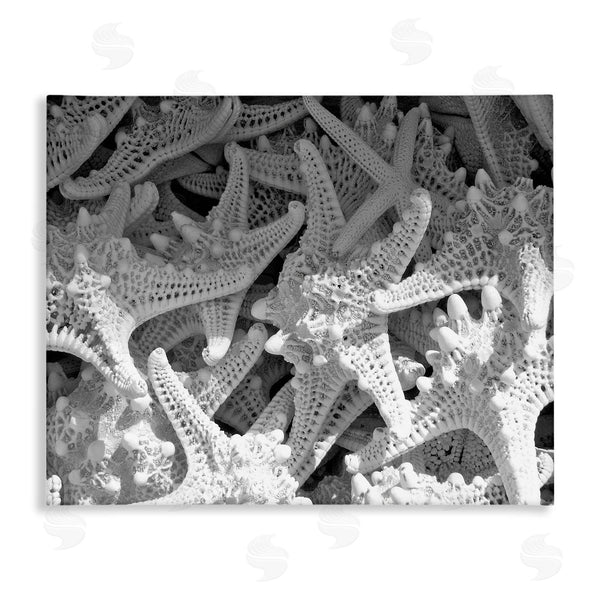 stupell industries Jairo Rodriguez | Nautical Starfish Pile