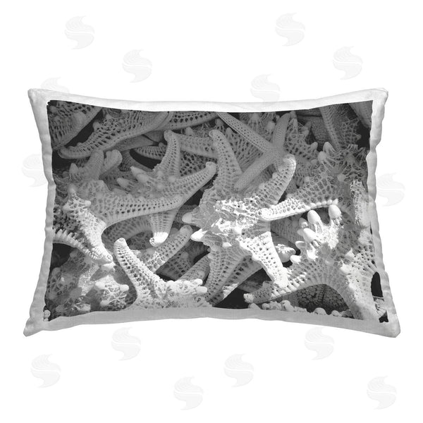 stupell industries Jairo Rodriguez | Nautical Starfish Pile