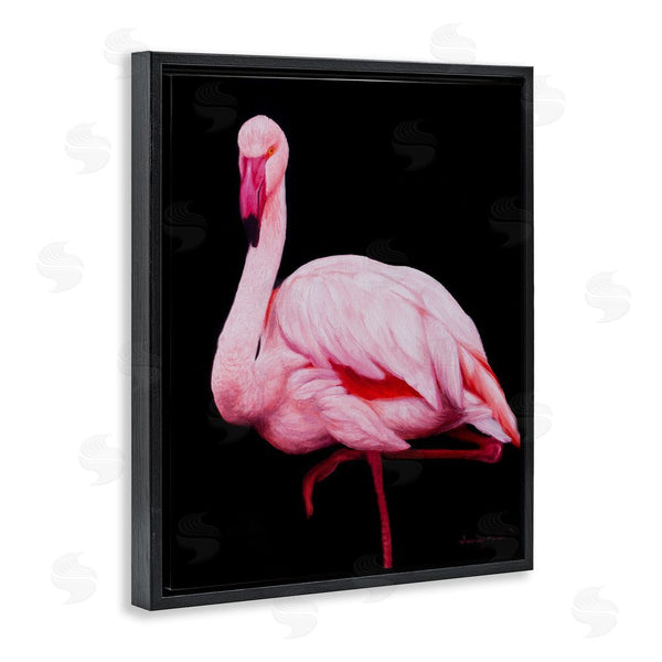 Stupell Industries James Corwin | Contrasting Flamingo On Black Wall Art