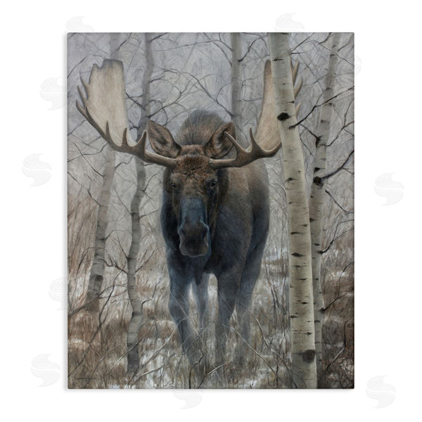 stupell industries James Corwin | Moose in Winter Birch Forest Wall Art