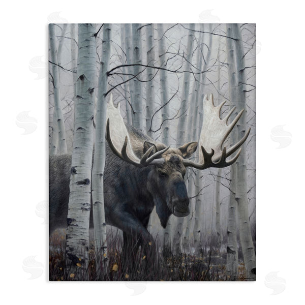 stupell industries James Corwin | Moose Peering in Birch Woods Wall Art