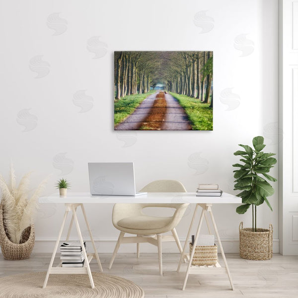 Stupell Industries James Dobson | Aligned Trees Along Orchard Path Nature Tunnel Wall Art