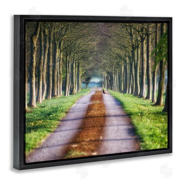 Stupell Industries James Dobson | Aligned Trees Along Orchard Path Nature Tunnel Wall Art