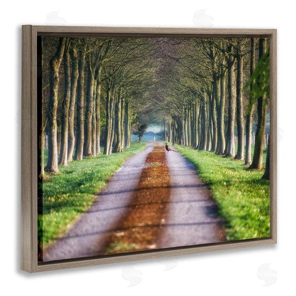 Stupell Industries James Dobson | Aligned Trees Along Orchard Path Nature Tunnel Wall Art