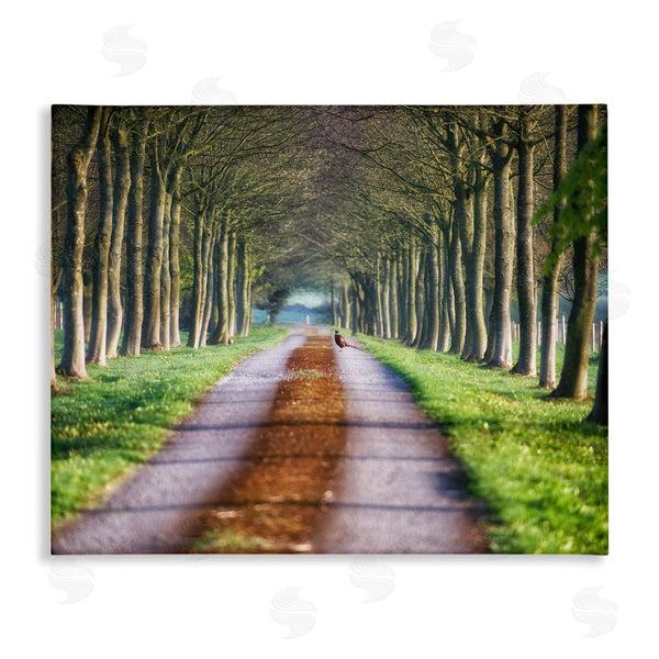 stupell industries James Dobson | Aligned Trees Along Orchard Path Nature Tunnel Wall Art