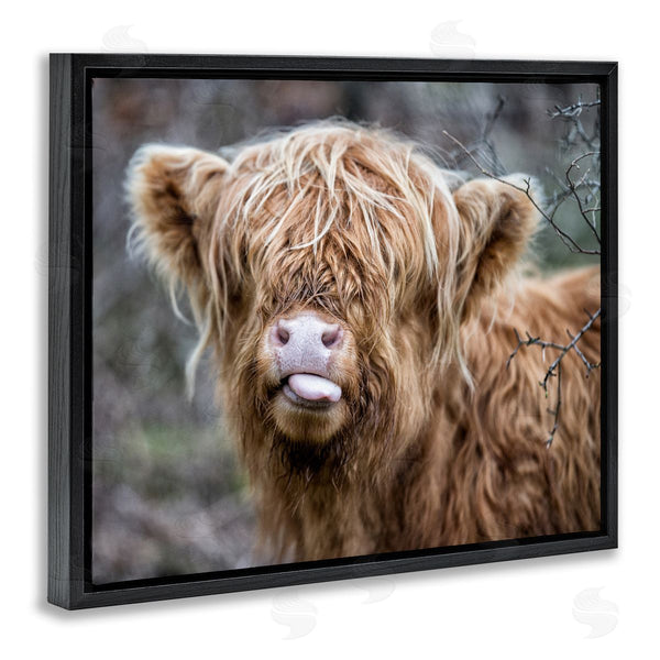 Stupell Industries James Dobson | Baby Cattle Licking Lips