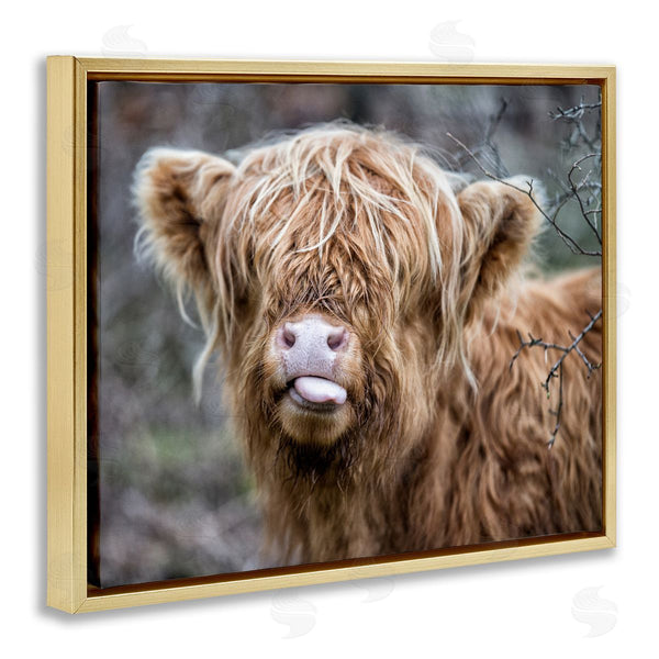 Stupell Industries James Dobson | Baby Cattle Licking Lips