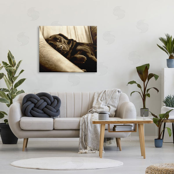 Stupell Industries James Dobson | Cuddling Labrador Dog Sleeping Cozy Sepia Photography Wall Art