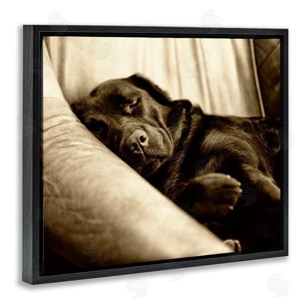 Stupell Industries James Dobson | Cuddling Labrador Dog Sleeping Cozy Sepia Photography Wall Art