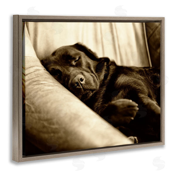 Stupell Industries James Dobson | Cuddling Labrador Dog Sleeping Cozy Sepia Photography Wall Art