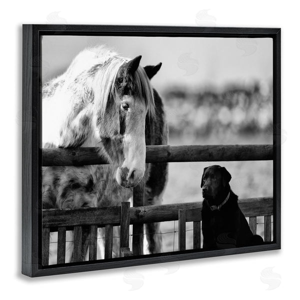 Stupell Industries James Dobson | Dog & Horse Farm Friends Monochrome Photography Wall Art
