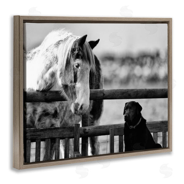Stupell Industries James Dobson | Dog & Horse Farm Friends Monochrome Photography Wall Art