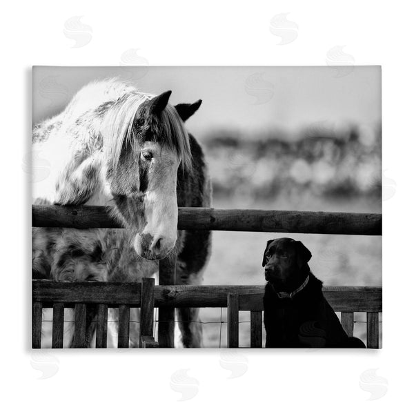stupell industries James Dobson | Dog & Horse Farm Friends Monochrome Photography Wall Art