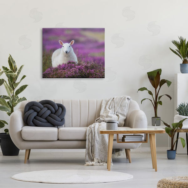 Stupell Industries James Dobson | Elegant White Sheep Among Purple Flower Meadow Wall Art