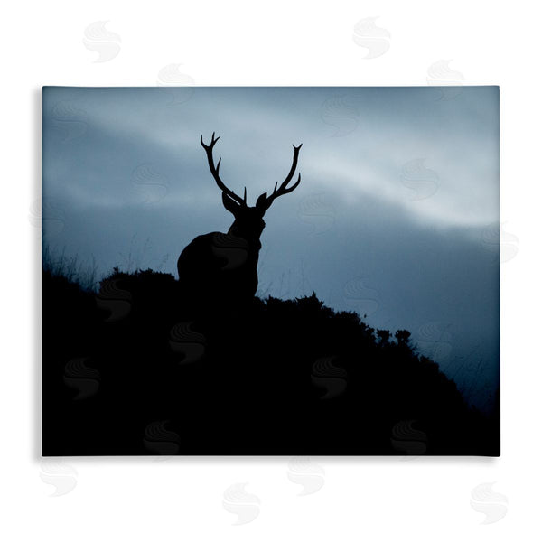 stupell industries James Dobson | Elk Silhouette At Dusk Deep Blue Night Sky Wall Art