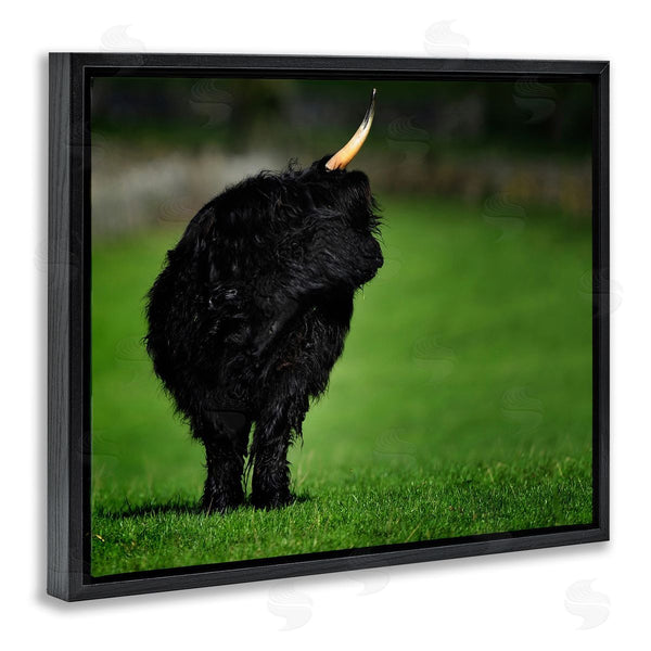 Stupell Industries James Dobson | Fuzzy Yak Looking Away Lush Grass Field Wall Art