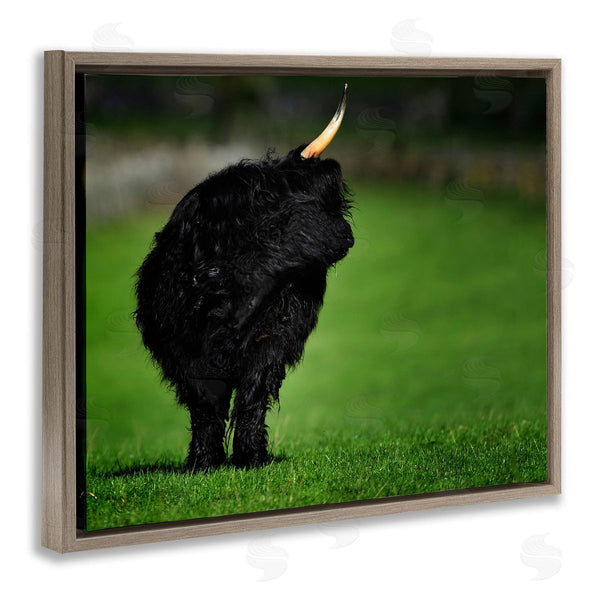 Stupell Industries James Dobson | Fuzzy Yak Looking Away Lush Grass Field Wall Art