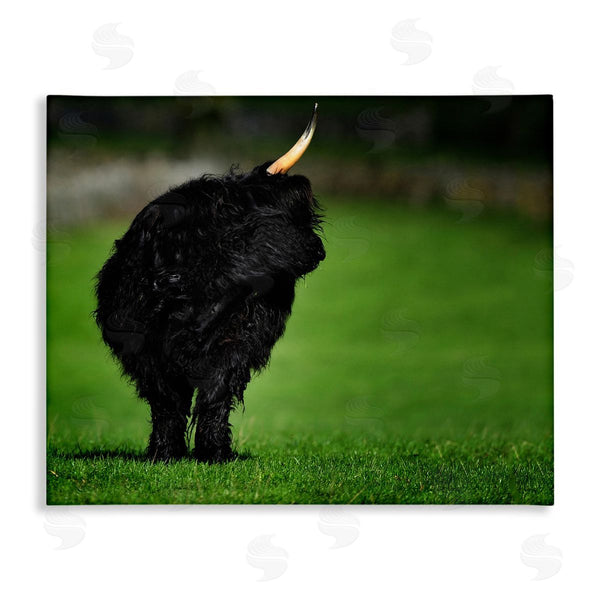 stupell industries James Dobson | Fuzzy Yak Looking Away Lush Grass Field Wall Art