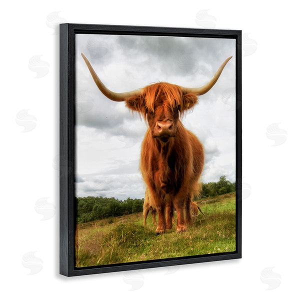 Stupell Industries James Dobson | Highland Cattle Long Horns Grazing Farm Ranch Wall Art