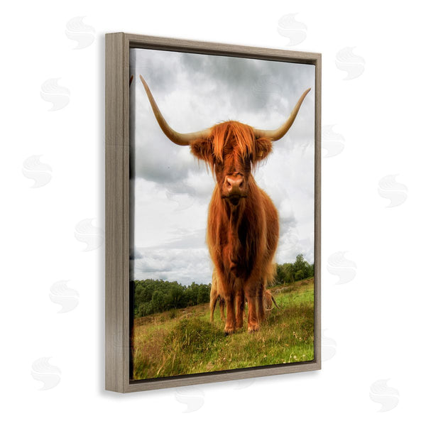 Stupell Industries James Dobson | Highland Cattle Long Horns Grazing Farm Ranch Wall Art